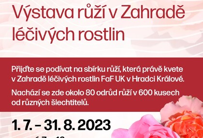 Výstava růží v Zahradě léčivých rostlin